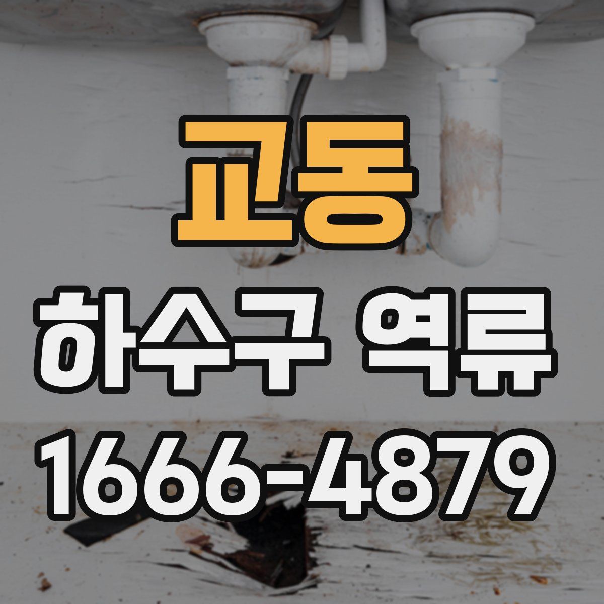 교동 하수구 역류