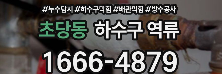 초당동 하수구 역류