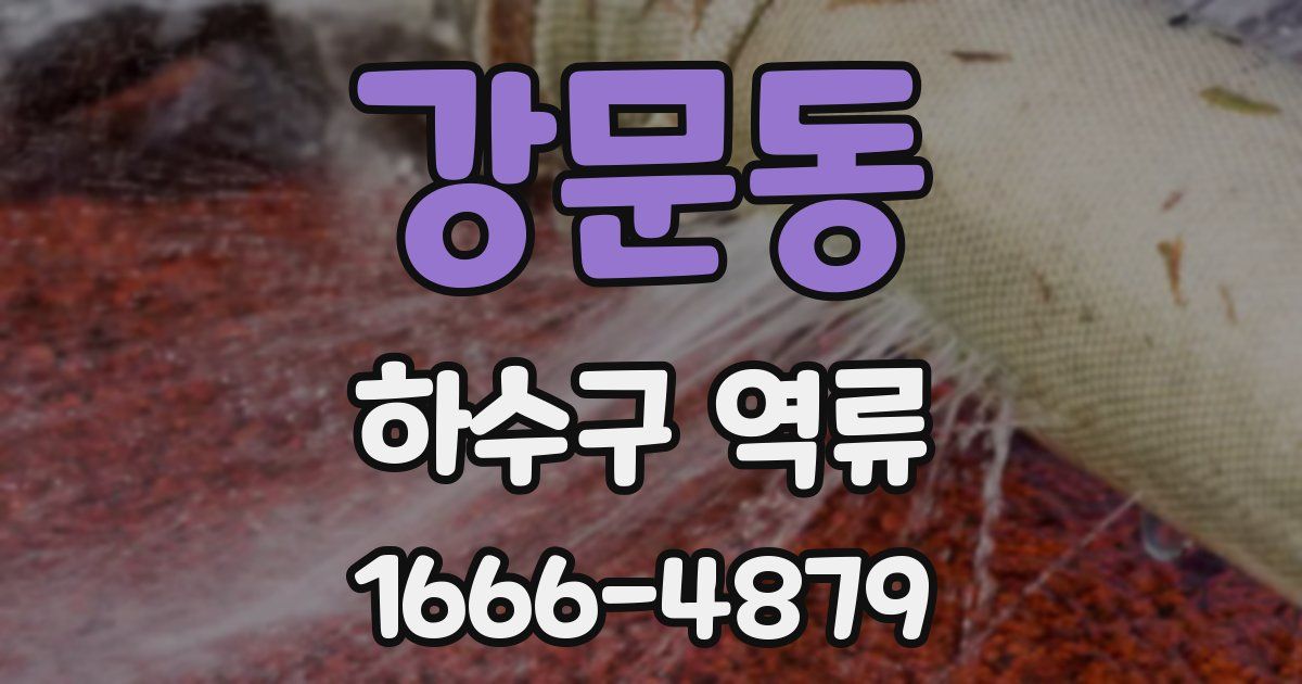 강문동 하수구 역류