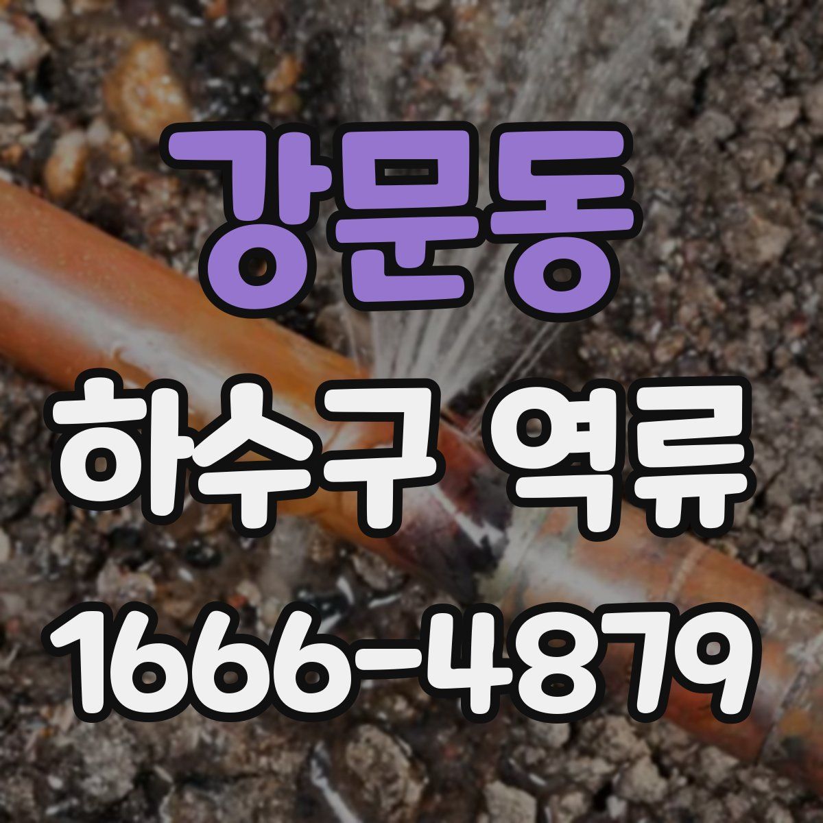 강문동 하수구 역류