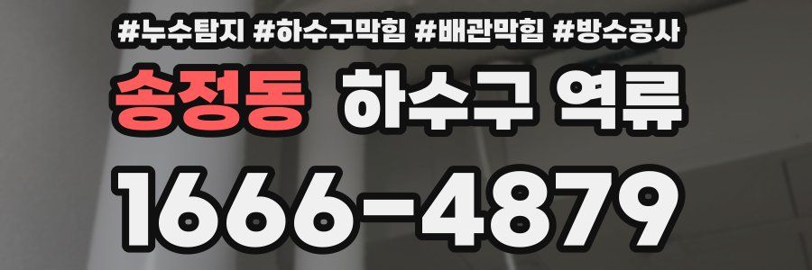 송정동 하수구 역류