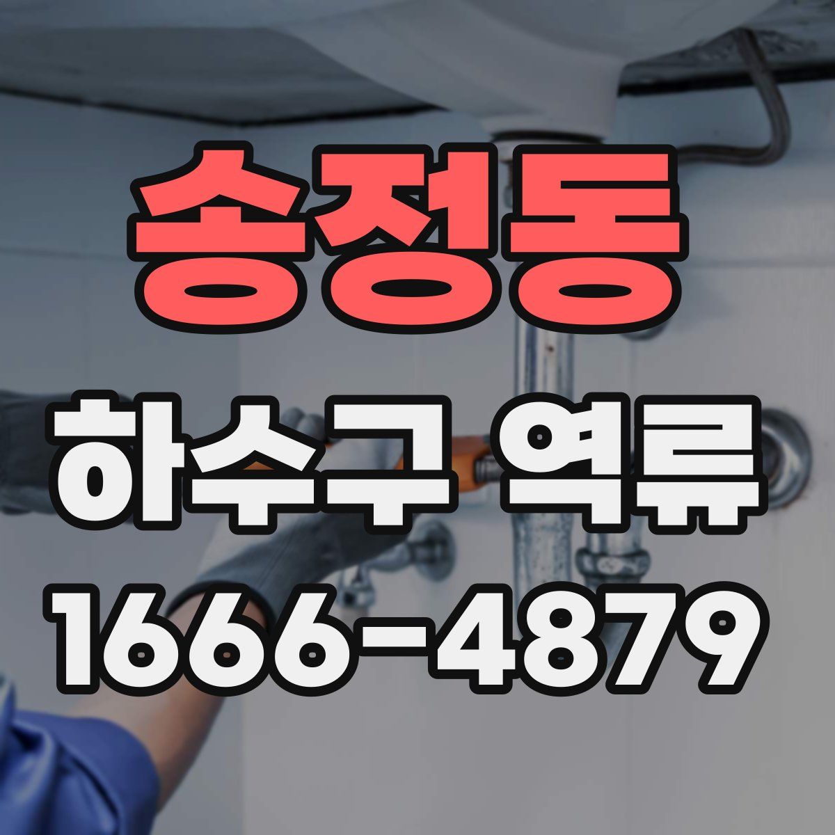 송정동 하수구 역류