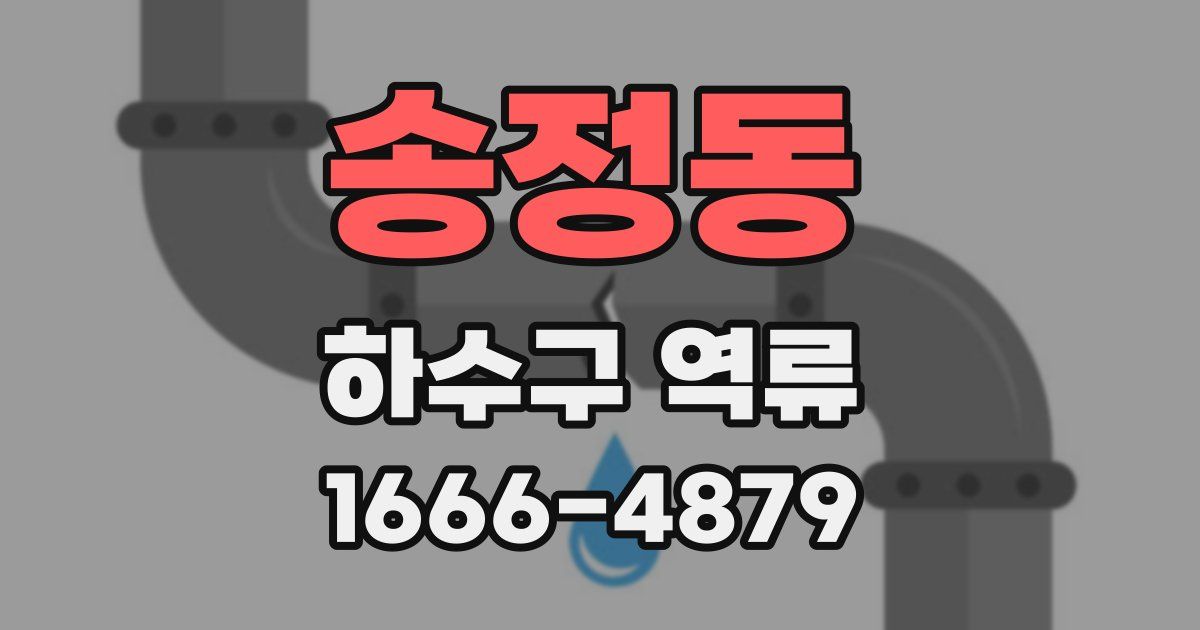 송정동 하수구 역류