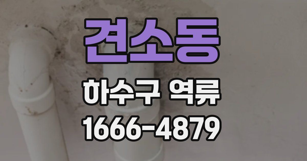 견소동 하수구 역류