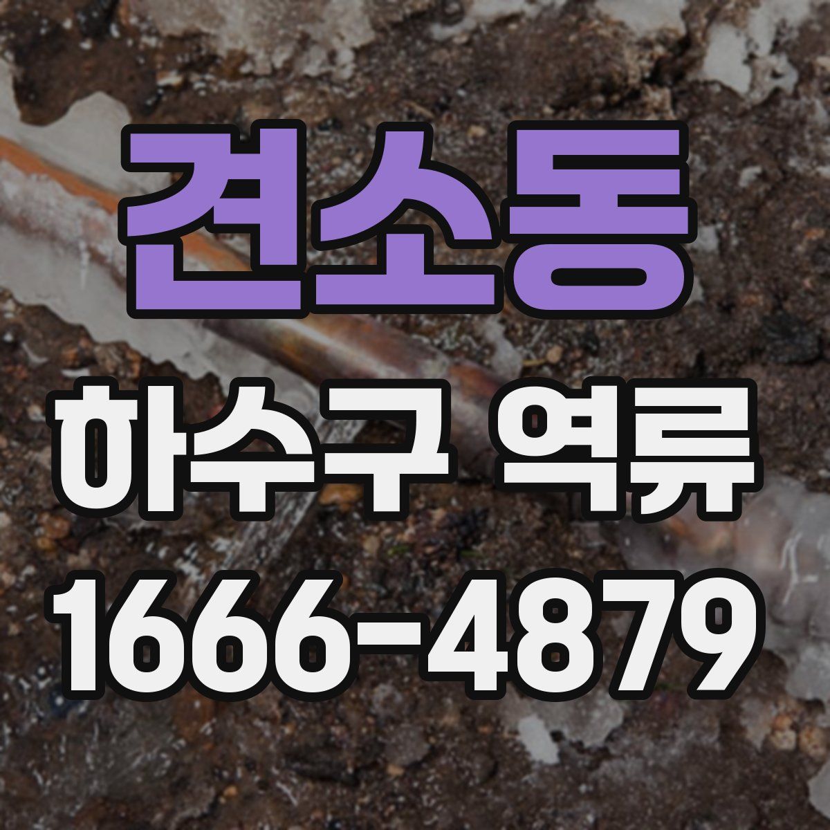 견소동 하수구 역류