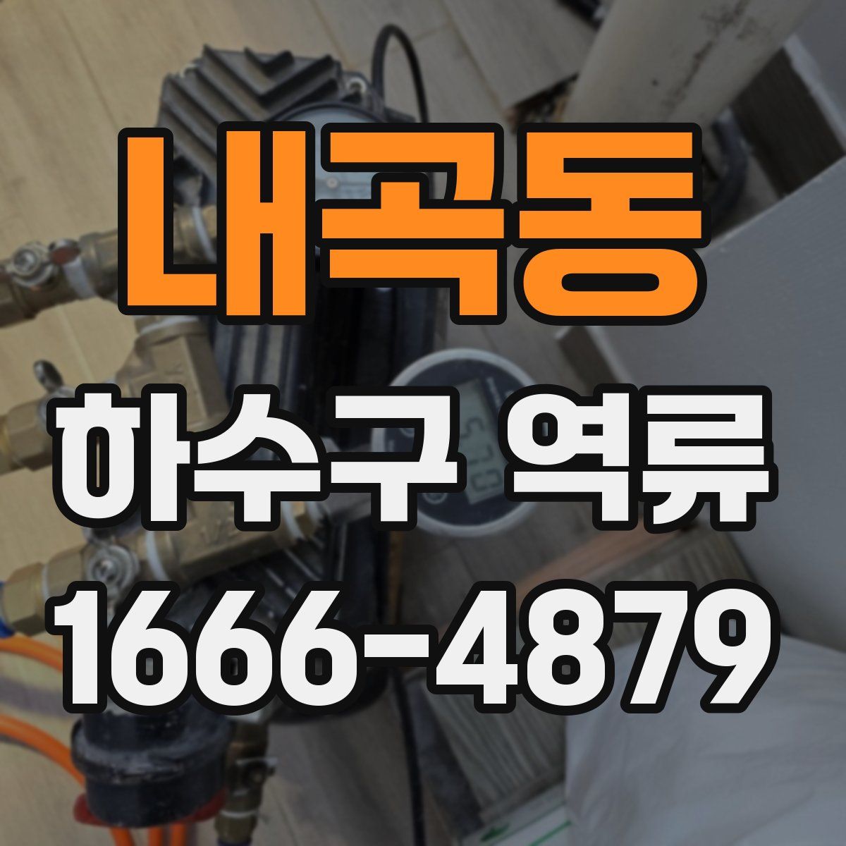 내곡동 하수구 역류