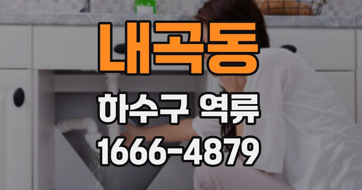 내곡동 하수구 역류