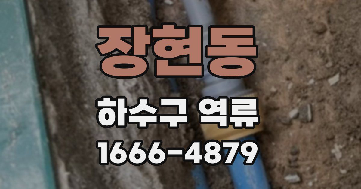 장현동 하수구 역류