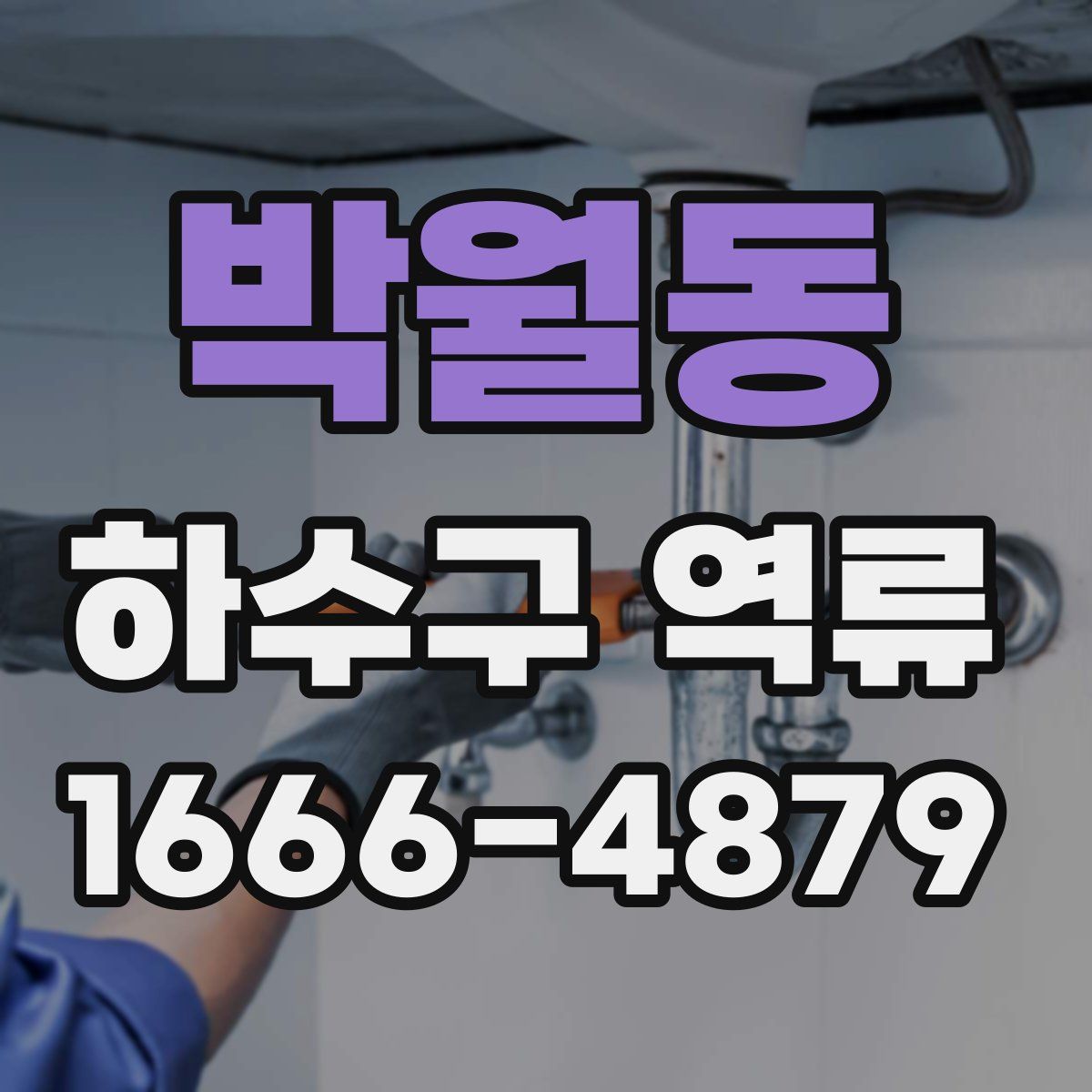 박월동 하수구 역류