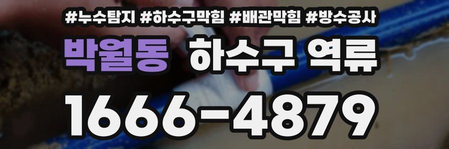 박월동 하수구 역류
