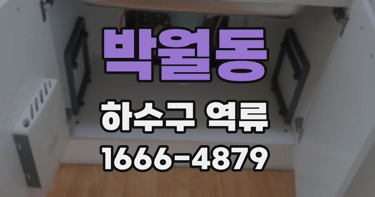 박월동 하수구 역류