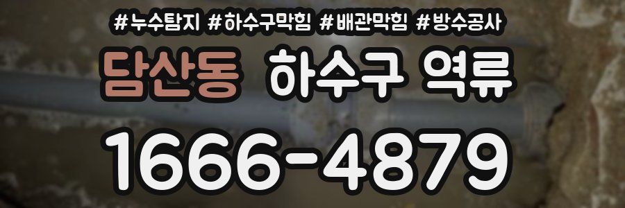 담산동 하수구 역류