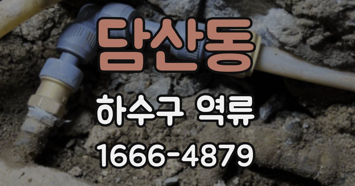 담산동 하수구 역류