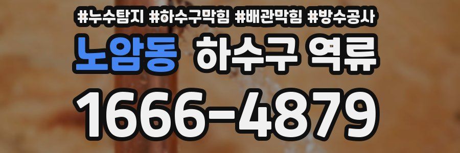 노암동 하수구 역류
