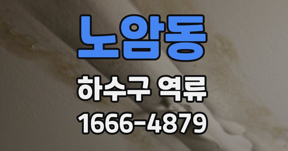 노암동 하수구 역류