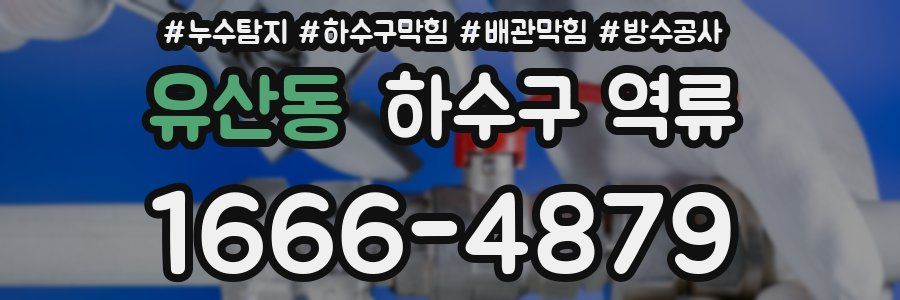 유산동 하수구 역류