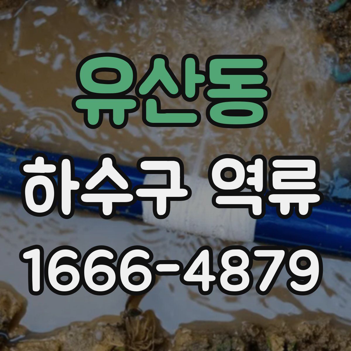 유산동 하수구 역류