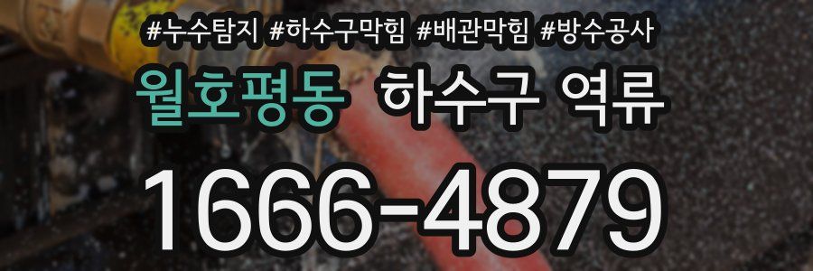 월호평동 하수구 역류