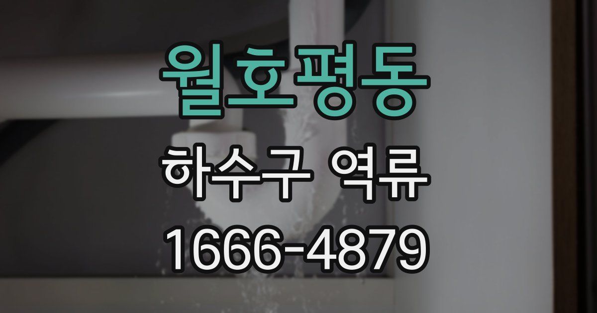 월호평동 하수구 역류