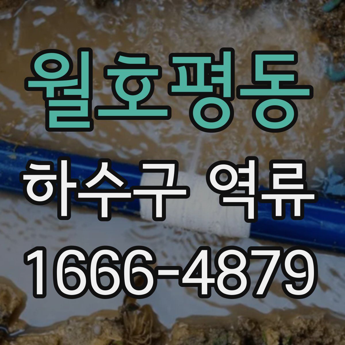 월호평동 하수구 역류