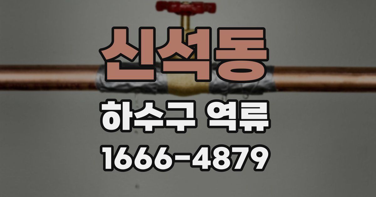 신석동 하수구 역류