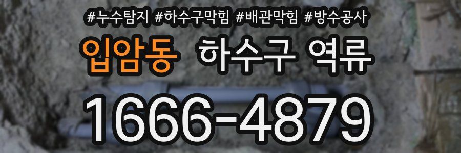 입암동 하수구 역류