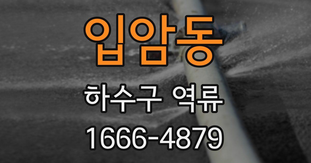 입암동 하수구 역류