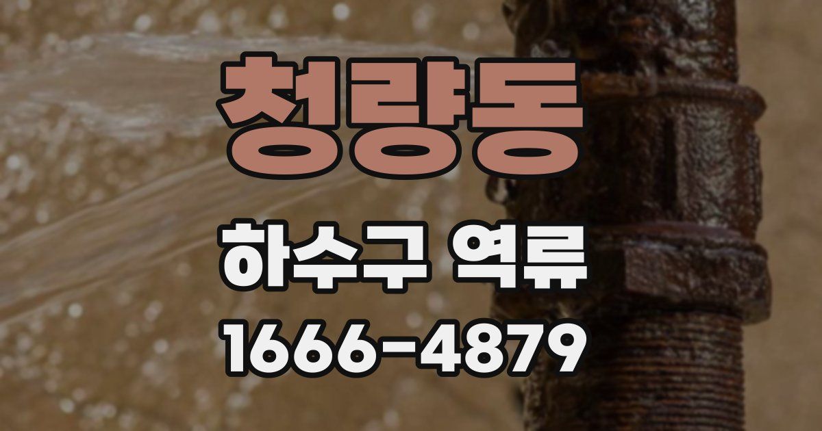 청량동 하수구 역류