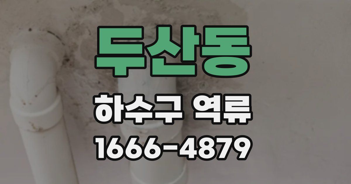 두산동 하수구 역류