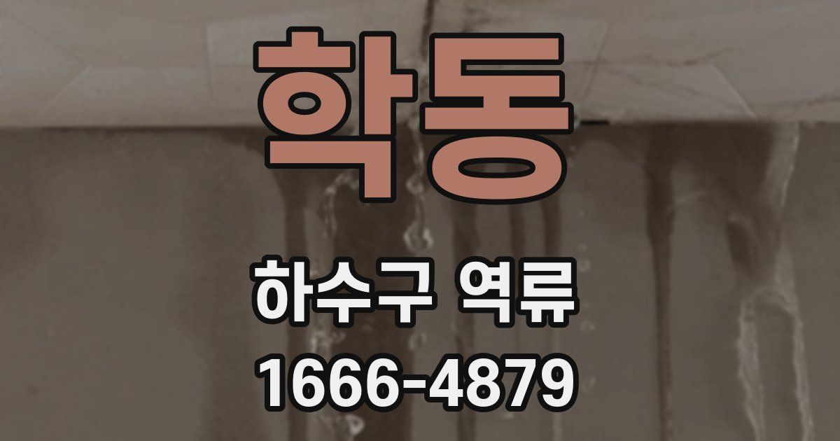 학동 하수구 역류