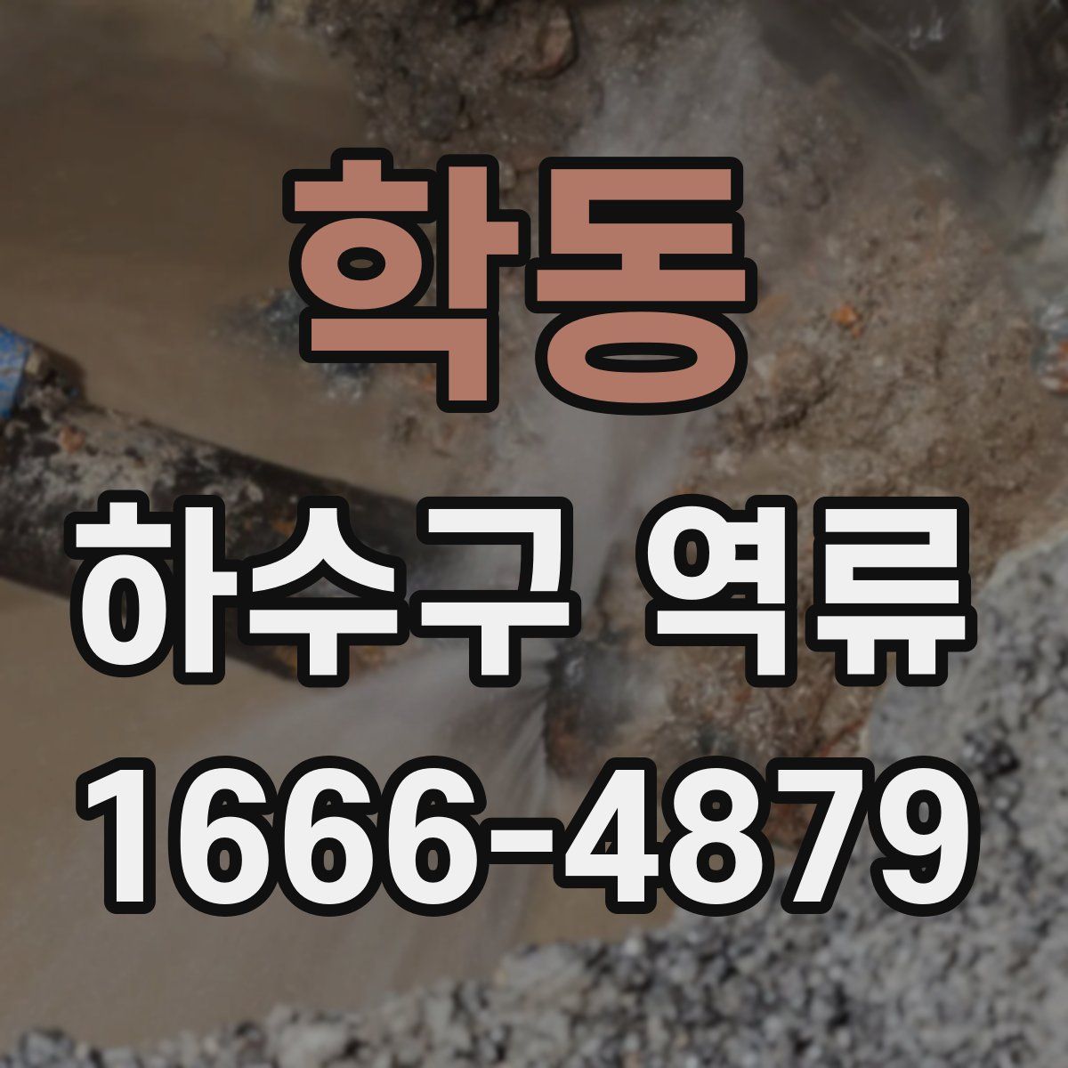 학동 하수구 역류