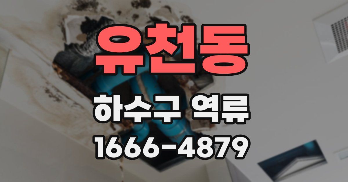 유천동 하수구 역류