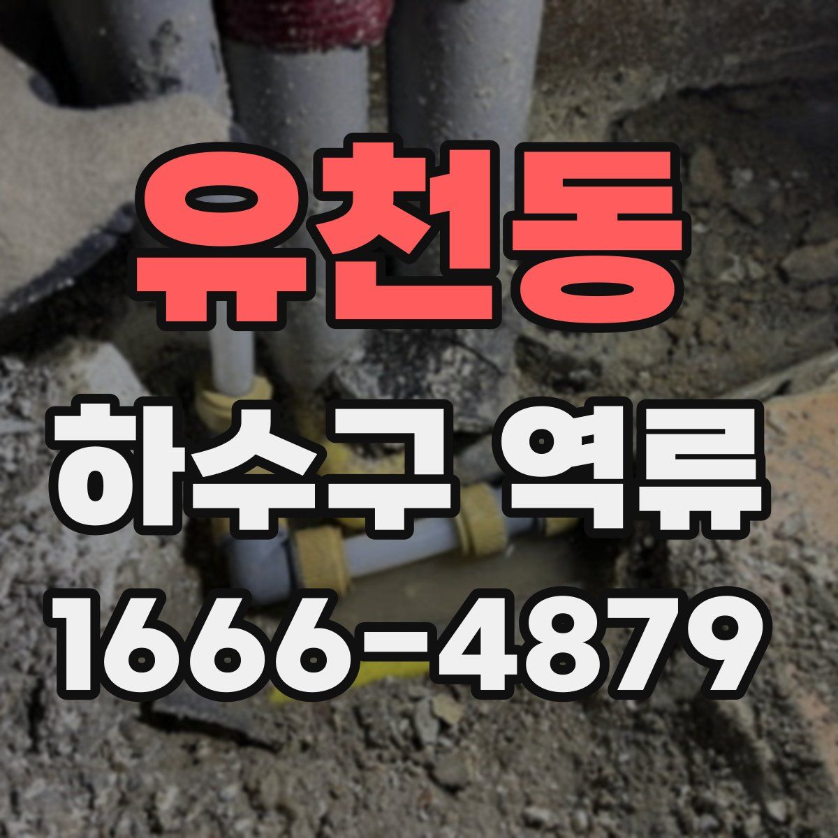 유천동 하수구 역류