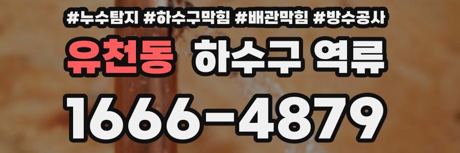 유천동 하수구 역류