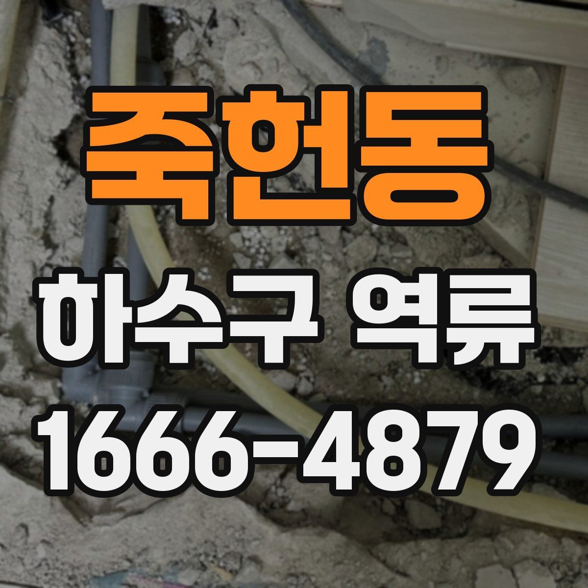 죽헌동 하수구 역류