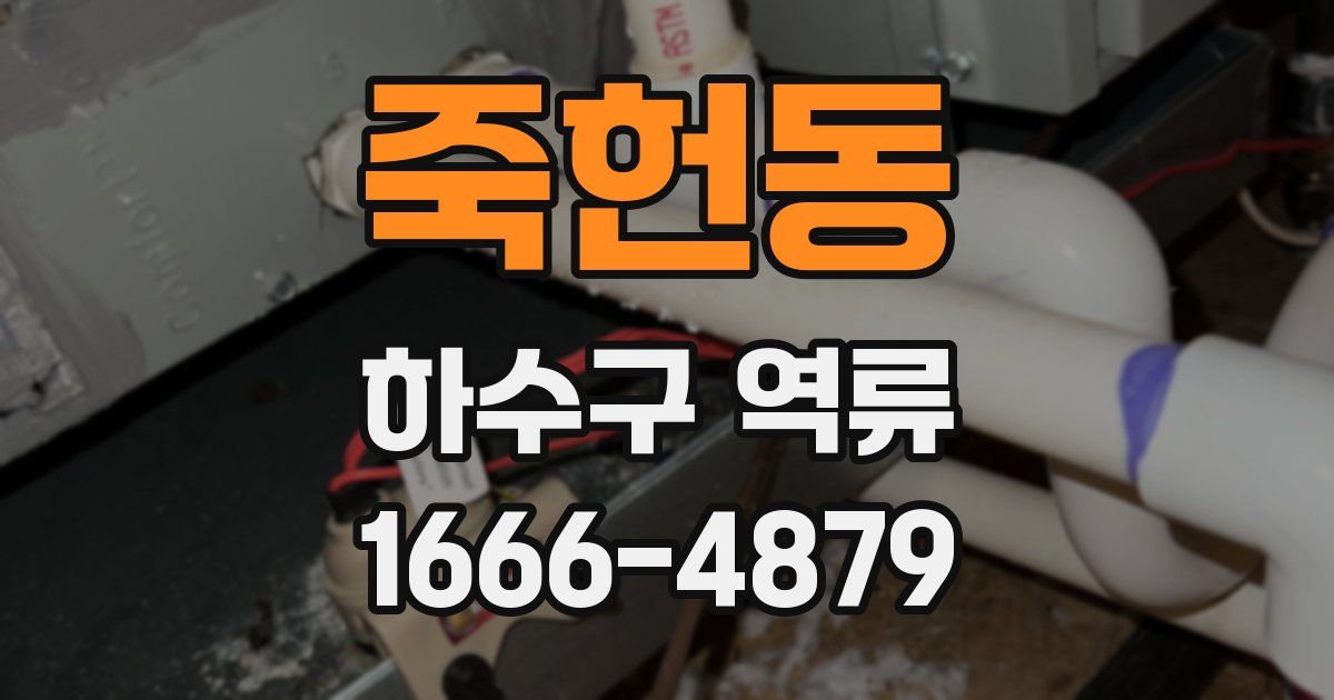 죽헌동 하수구 역류