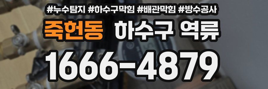 죽헌동 하수구 역류