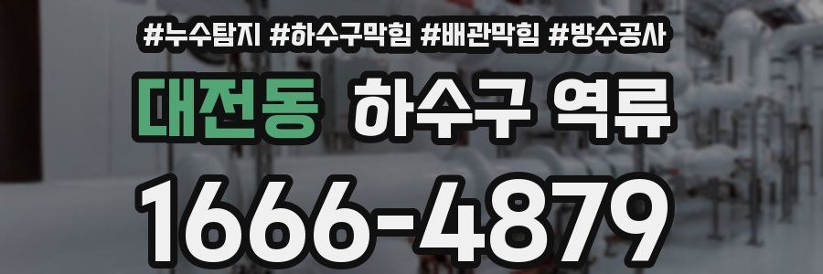 대전동 하수구 역류