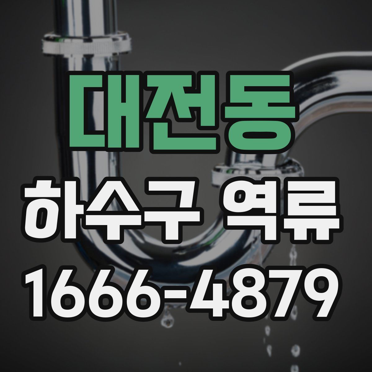 대전동 하수구 역류
