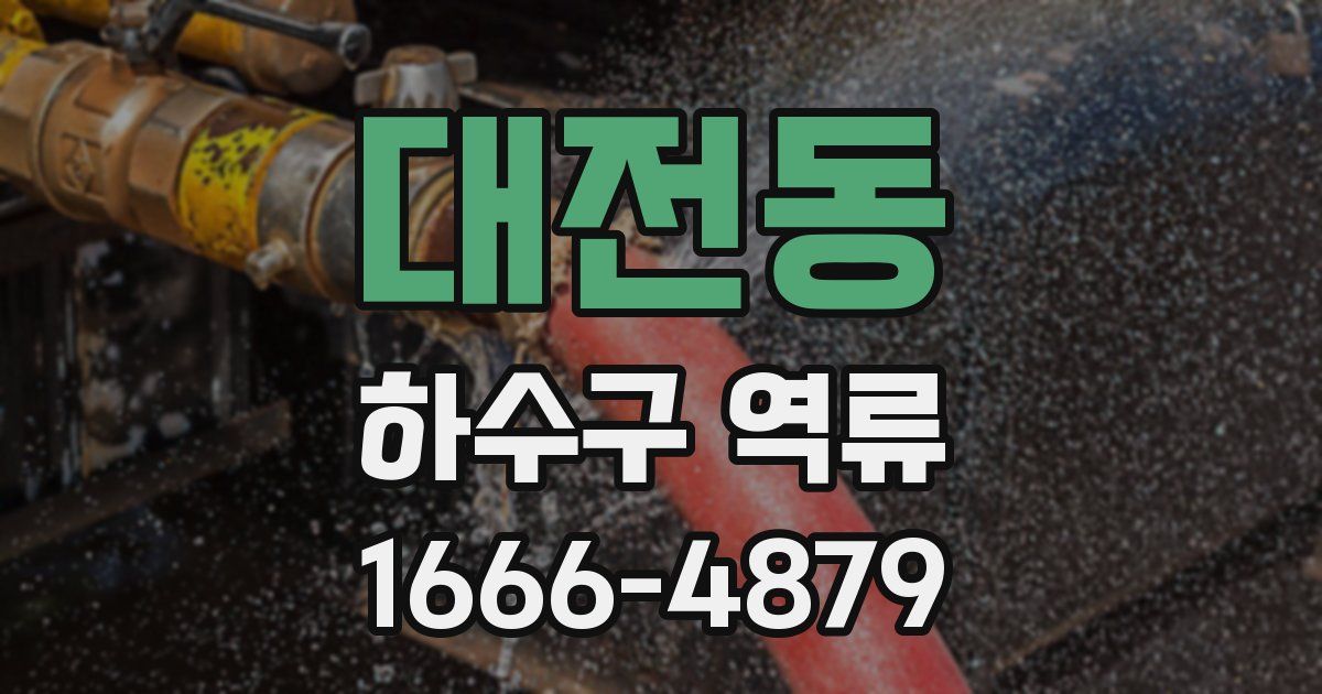 대전동 하수구 역류