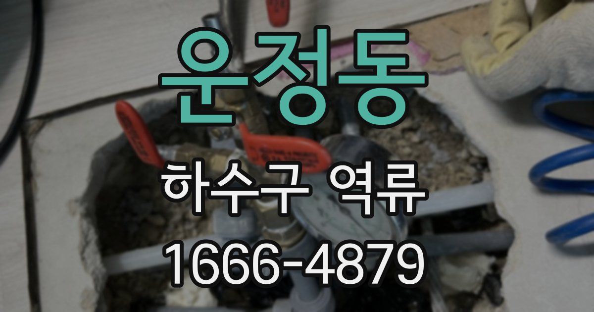 운정동 하수구 역류
