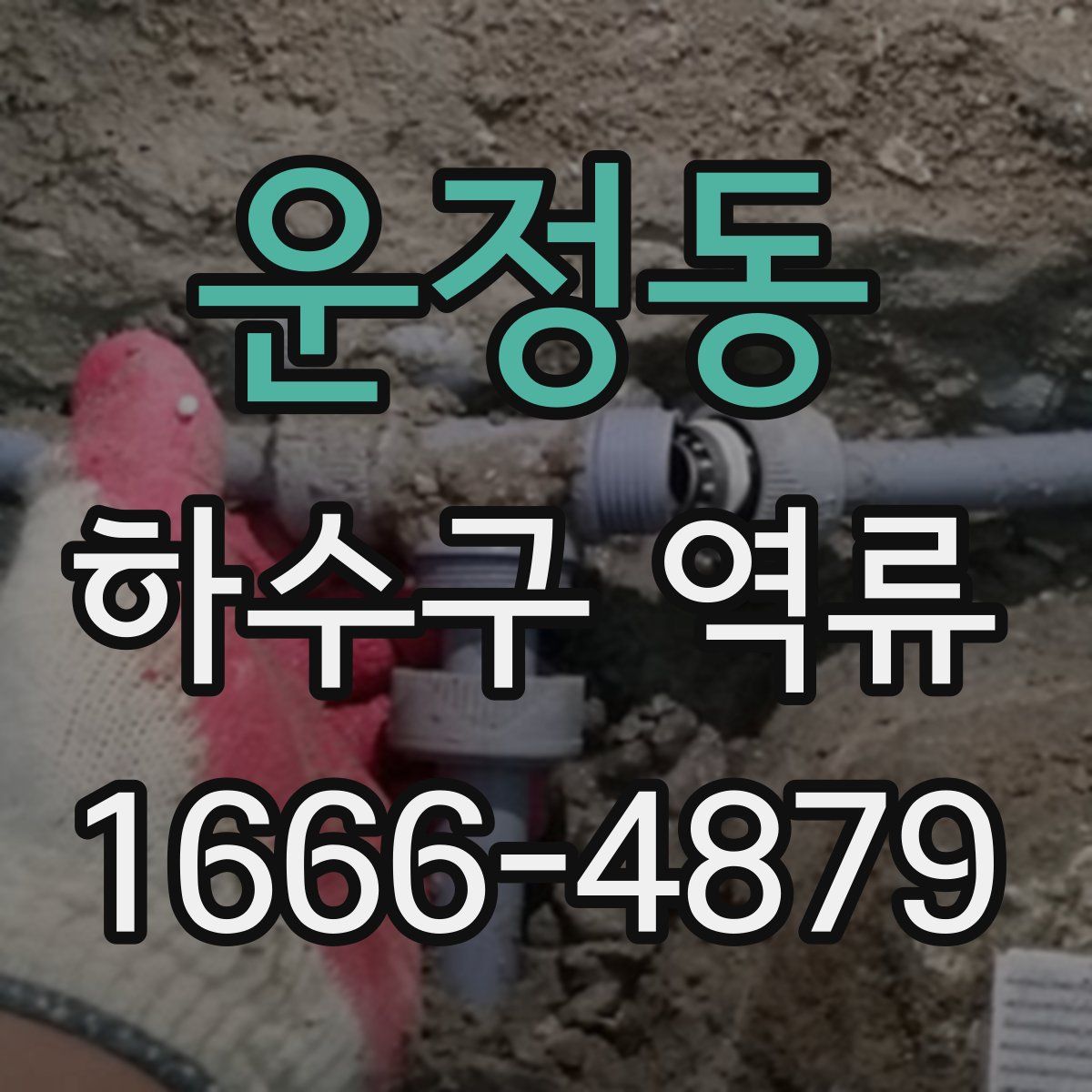 운정동 하수구 역류