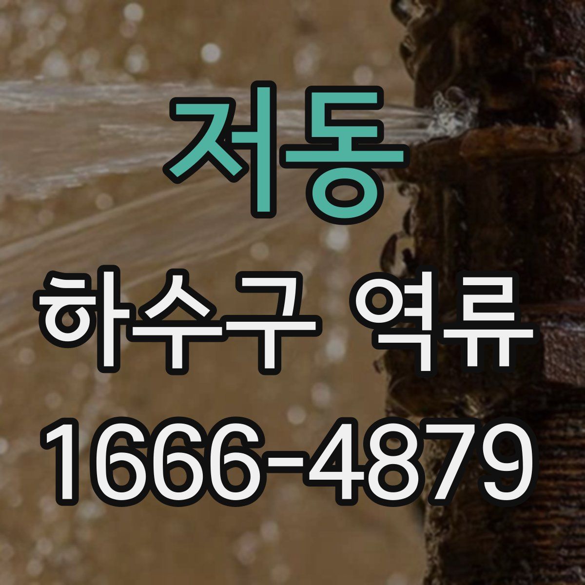 저동 하수구 역류