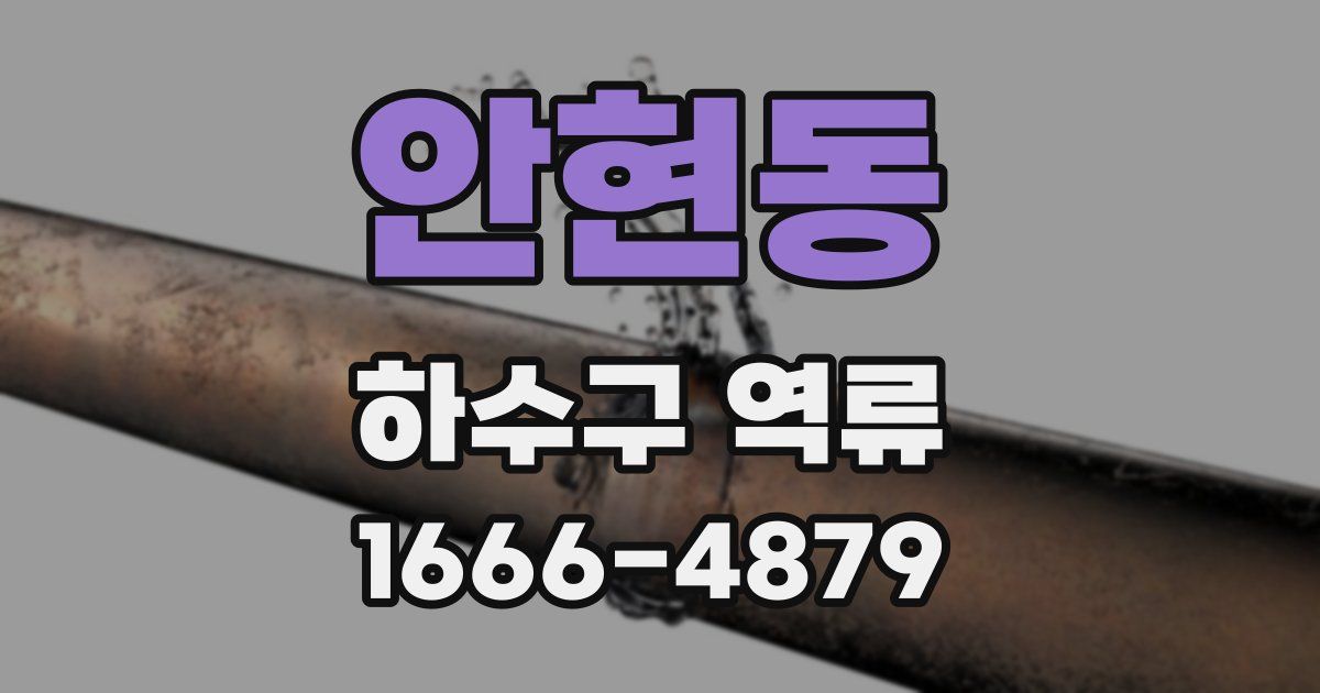 안현동 하수구 역류