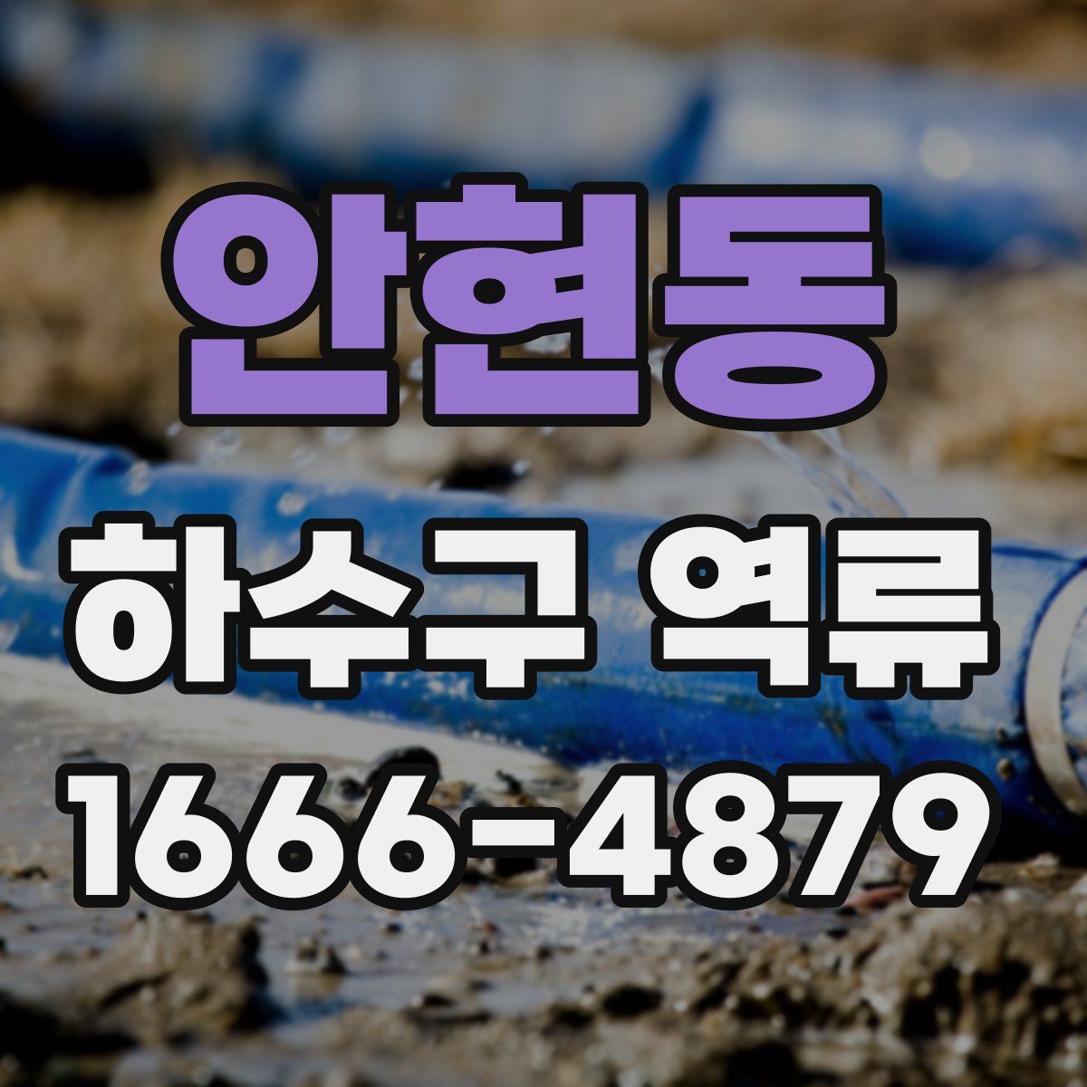안현동 하수구 역류