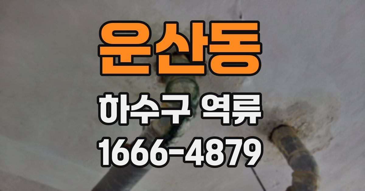 운산동 하수구 역류