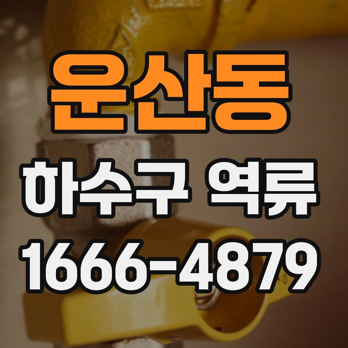 운산동 하수구 역류