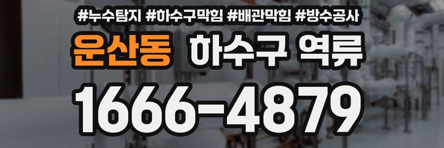 운산동 하수구 역류