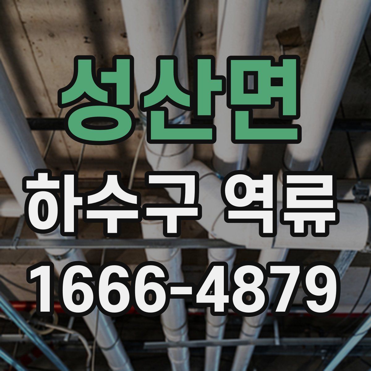 성산면 하수구 역류