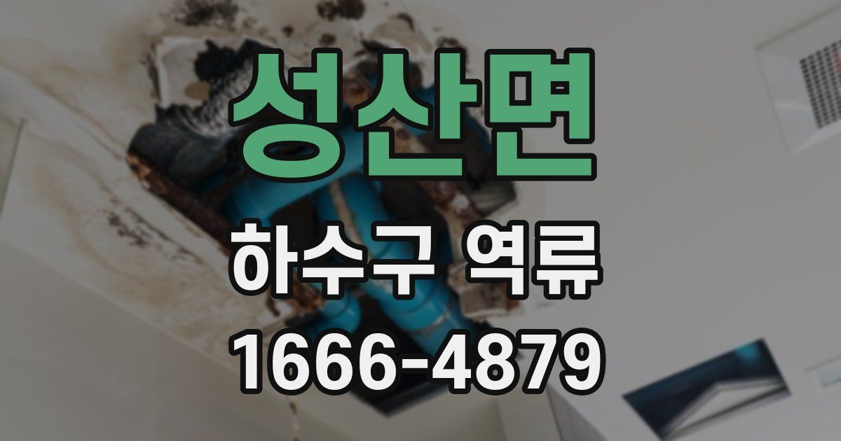 성산면 하수구 역류